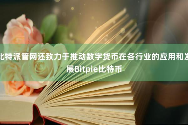 比特派管网还致力于推动数字货币在各行业的应用和发展Bitpie比特币