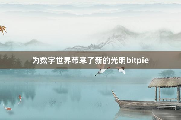 为数字世界带来了新的光明bitpie