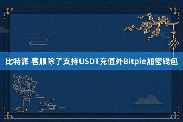 比特派 客服除了支持USDT充值外Bitpie加密钱包