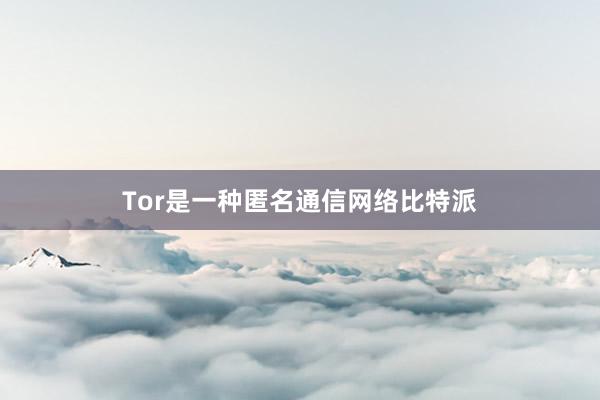 Tor是一种匿名通信网络比特派