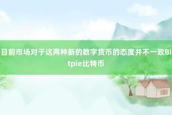 目前市场对于这两种新的数字货币的态度并不一致Bitpie比特币