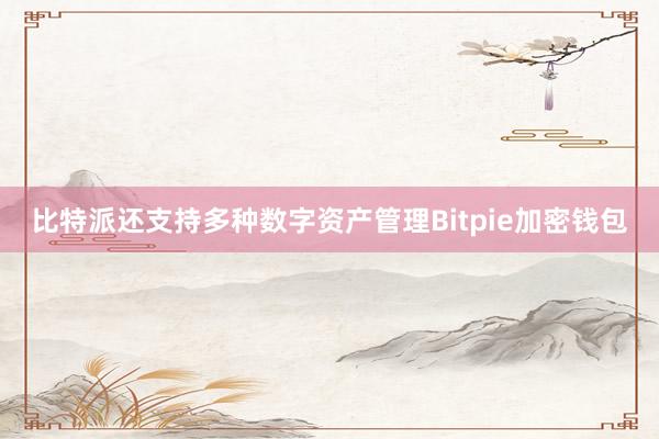 比特派还支持多种数字资产管理Bitpie加密钱包