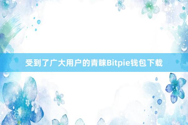 受到了广大用户的青睐Bitpie钱包下载