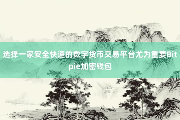 选择一家安全快速的数字货币交易平台尤为重要Bitpie加密钱包