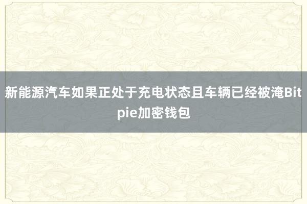 新能源汽车如果正处于充电状态且车辆已经被淹Bitpie加密钱包