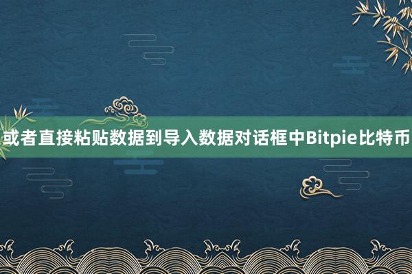 或者直接粘贴数据到导入数据对话框中Bitpie比特币